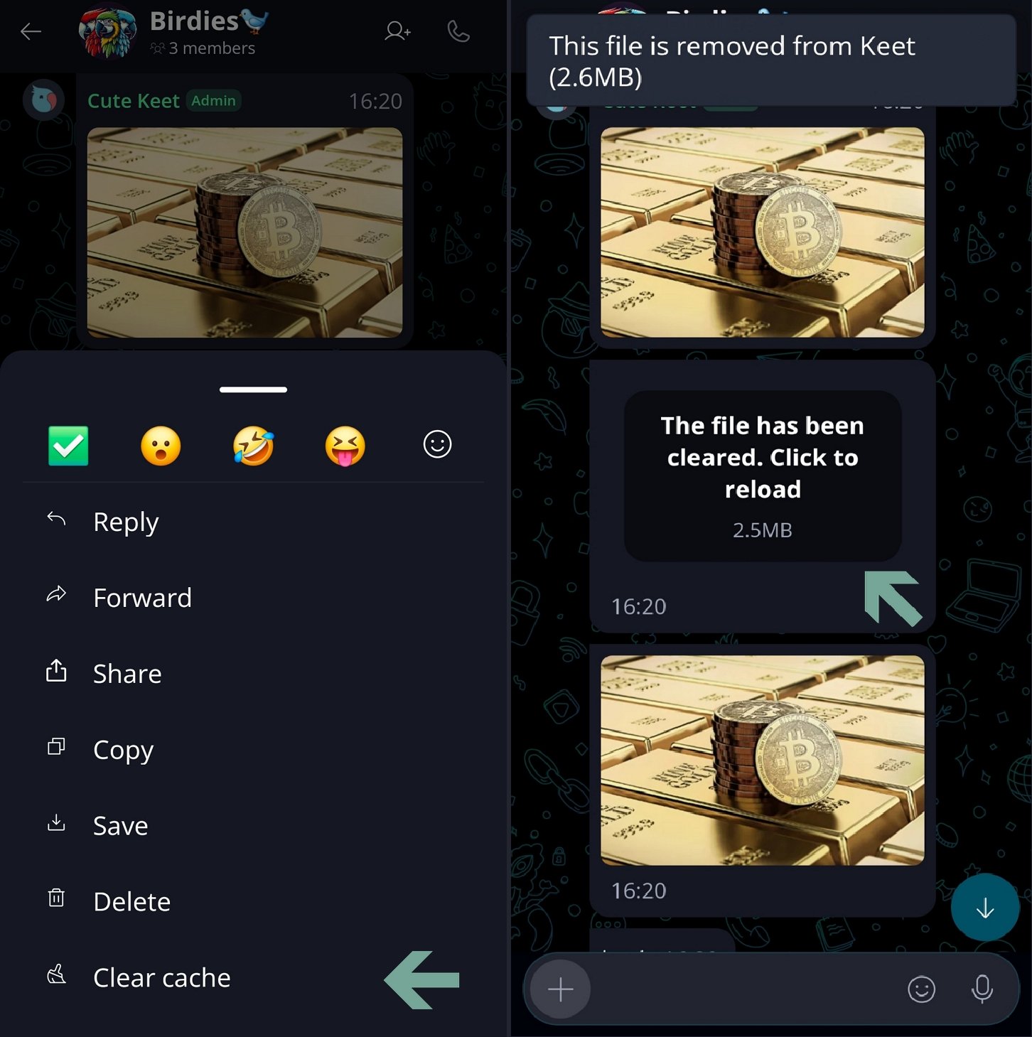 Deleting Files and Messages 🗑️ · Mobile Long-press the message and select 'Clear cache'.