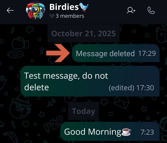 Deleting Files and Messages 🗑️ · Mobile The removed message will be shown in the chat as 'Message deleted'.